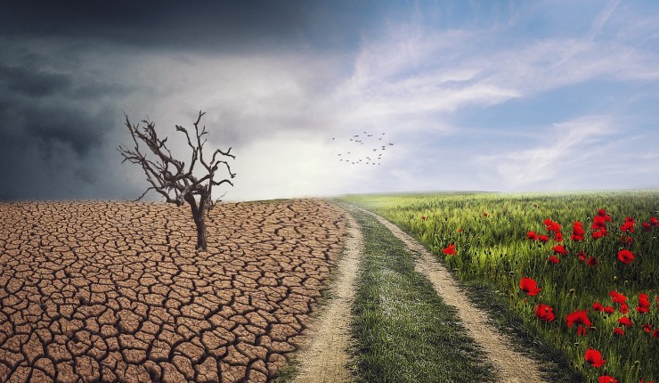 Integración del Cambio Climático en las Normas ISO: Un Enfoque&nbsp;Actualizado